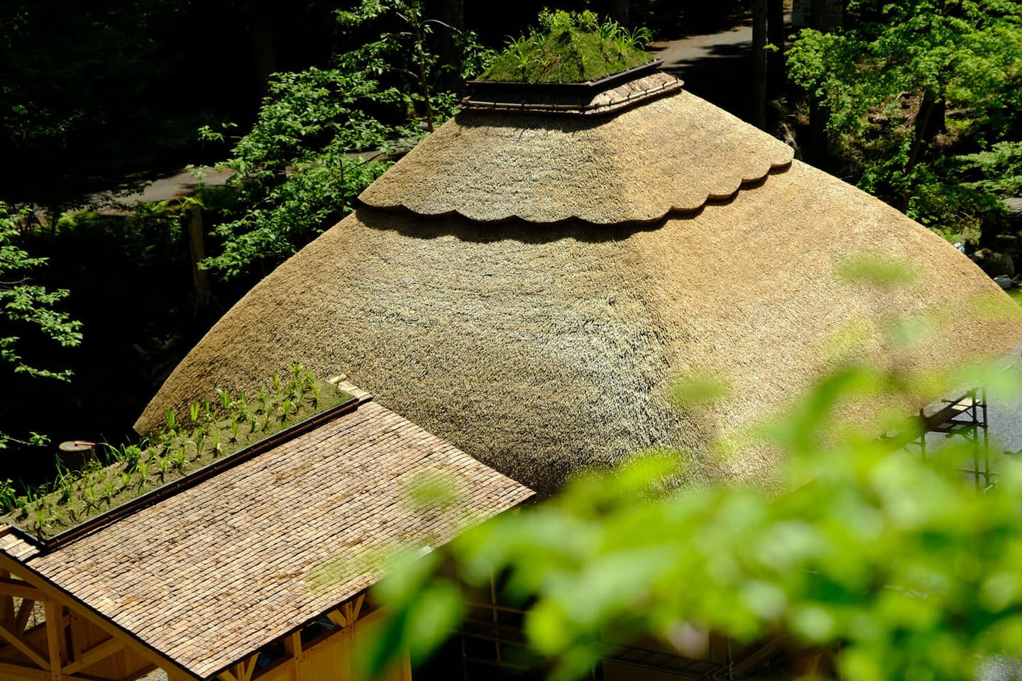 世界首座「玩偶神社」在京都!熊耳鳥居超萌,還能帶心愛娃娃參拜、求御守 世界首座「玩偶神社」在京都!熊耳鳥居超萌,還能帶心愛娃娃參拜、求御守