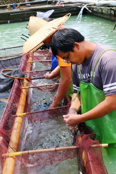 米其林星級烤香魚 指定要這家養出來的魚 (有片) IMG_7769.JPG