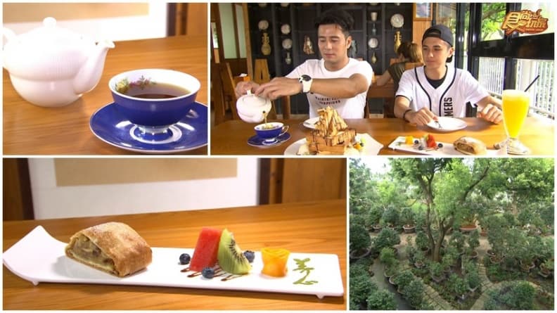 隱密花園吃夢幻甜點 和四萬多株「茶花」比美