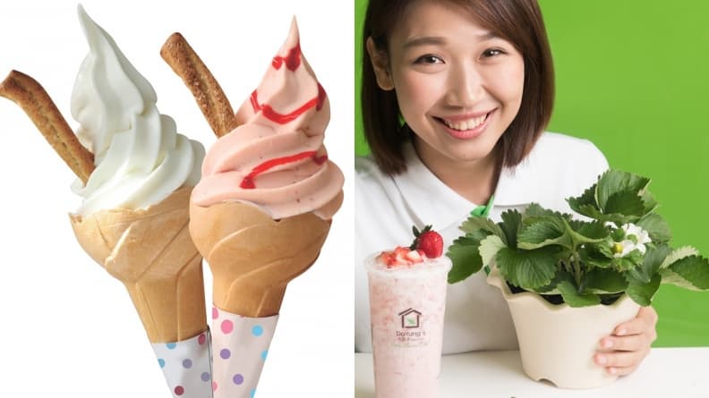 搶限量!吃草莓甜品送草莓盆栽