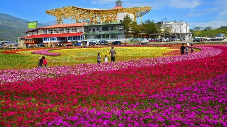賞花季登場!7大花海祕境大公開