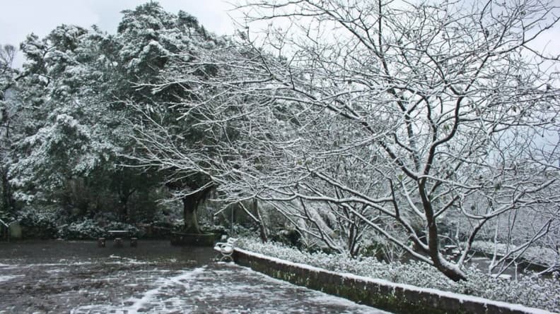 這週末台灣會下雪?霸王級寒流來襲雪景這裡看