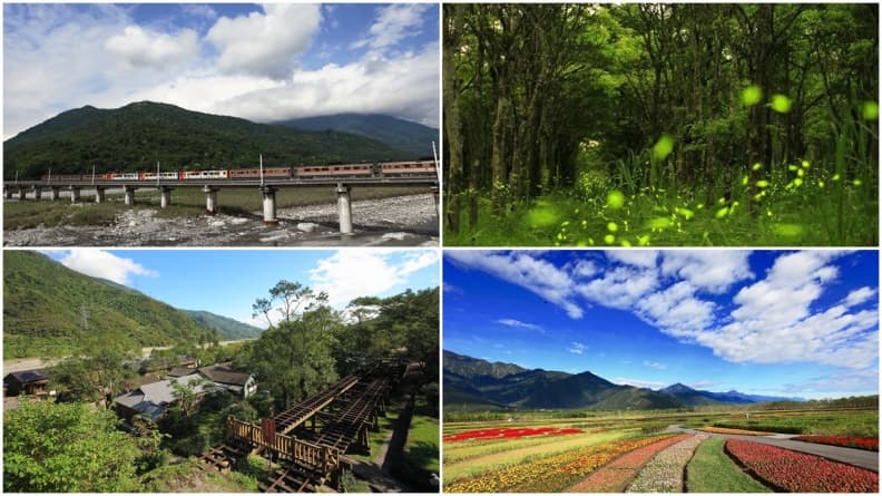 【春假怎麼玩】搭火車玩花東縱谷7站→第7站傳說中「龍貓隧道」一定要玩
