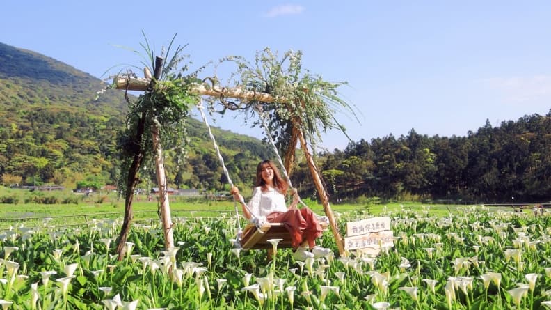 採海芋當網美!12個浪漫打卡熱點全公開