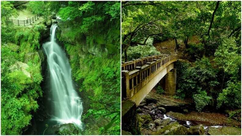 消暑涼方!三峽森林祕境小旅行:賞處女瀑布、吃鳥蛋肉圓、拍日本豪宅