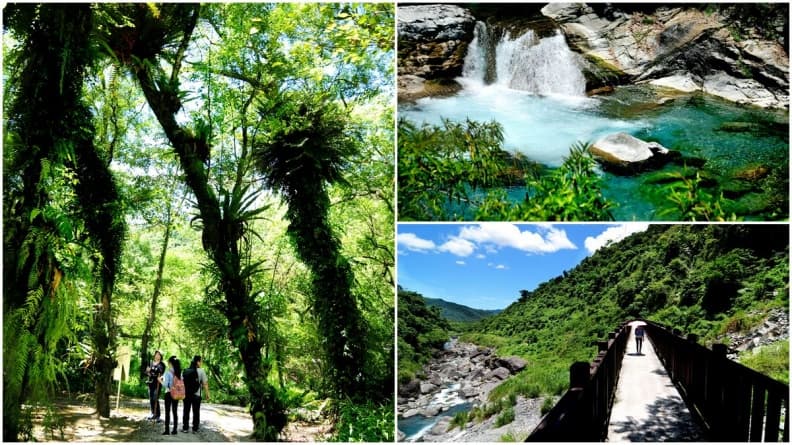 全台最大樟樹林享受森林浴!大理石「白川」戲水,嘗放山雞古早味