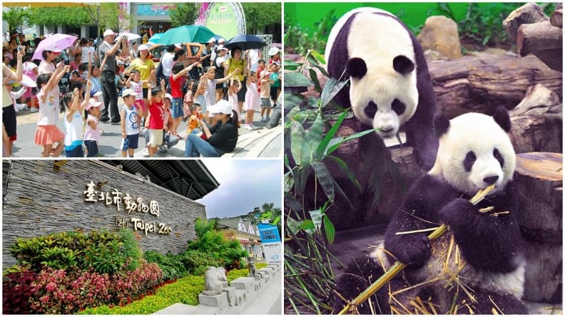 夜遊才有趣!一年只限8天「動物園」暑假夜間遊園開放了