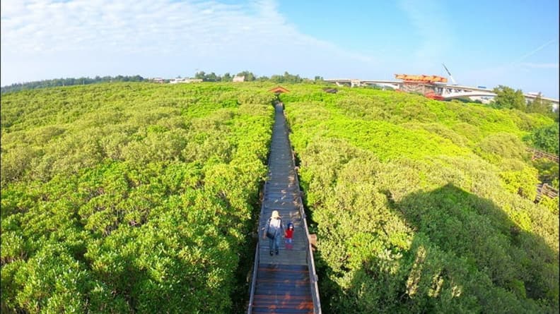 走進「龍貓森林」場景 新竹這處祕境超好拍