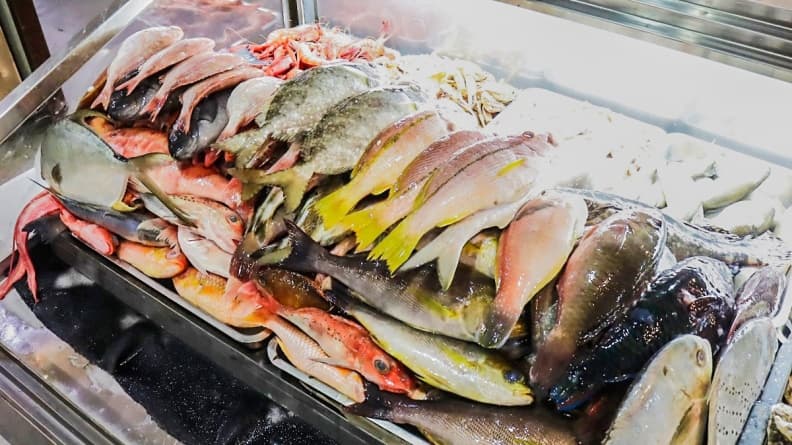 好像逛魚市場!550元海魚吃到飽 超多海鮮烤到爽