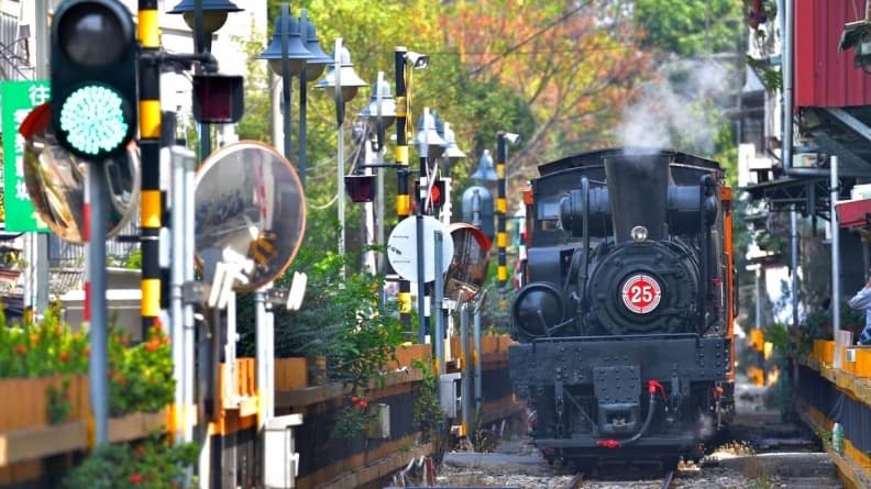不用遠赴阿里山!三月限定「檜木蒸汽火車」只有3天、每日6班次