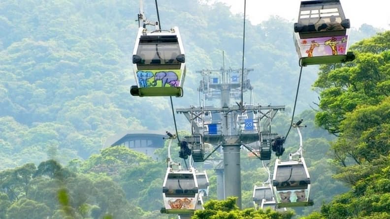 銅板價玩貓空!貓纜不限站數「50元搭到飽」,全台4梯次限定優惠