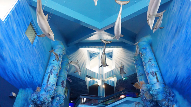 14公尺藍色海洋隧道!正式開幕「澎湖水族館」活化石小鱟寶寶可看