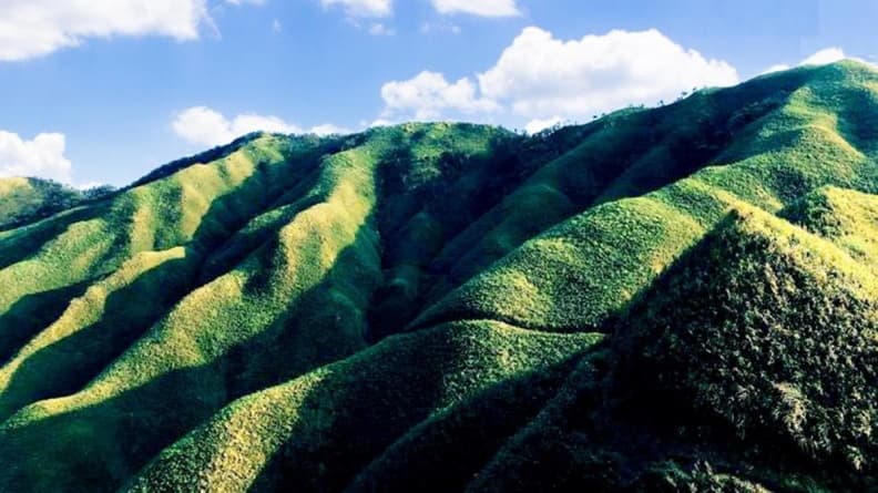 萌萌打卡點!宜蘭最美「抹茶冰淇淋山」曝光,登頂吃抹茶拿鐵、蛋糕