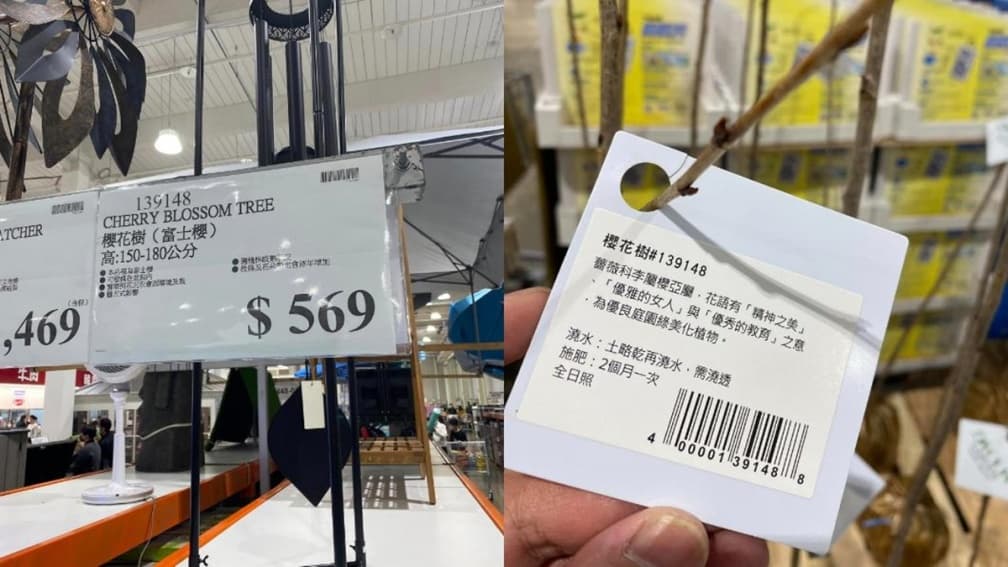 好市多獵奇商品再+1!「直立天線」超吸睛,店員結帳傻眼反問:這是什麼 好市多獵奇商品再+1!「直立天線」超吸睛,店員結帳傻眼反問:這是什麼
