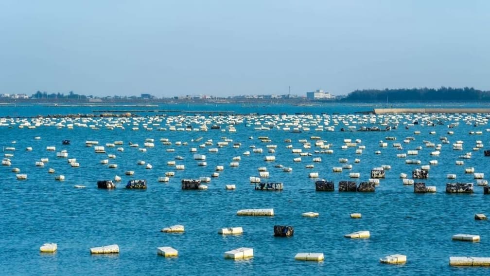 白水湖 img