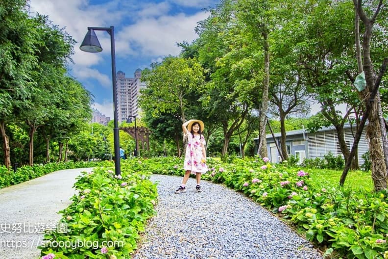 好拍到手痠!IG必追6大「繡球花夯點」:占地8000坪、萬株花海限時免費拍 好拍到手痠!IG必追6大「繡球花夯點」:占地8000坪、萬株花海限時免費拍