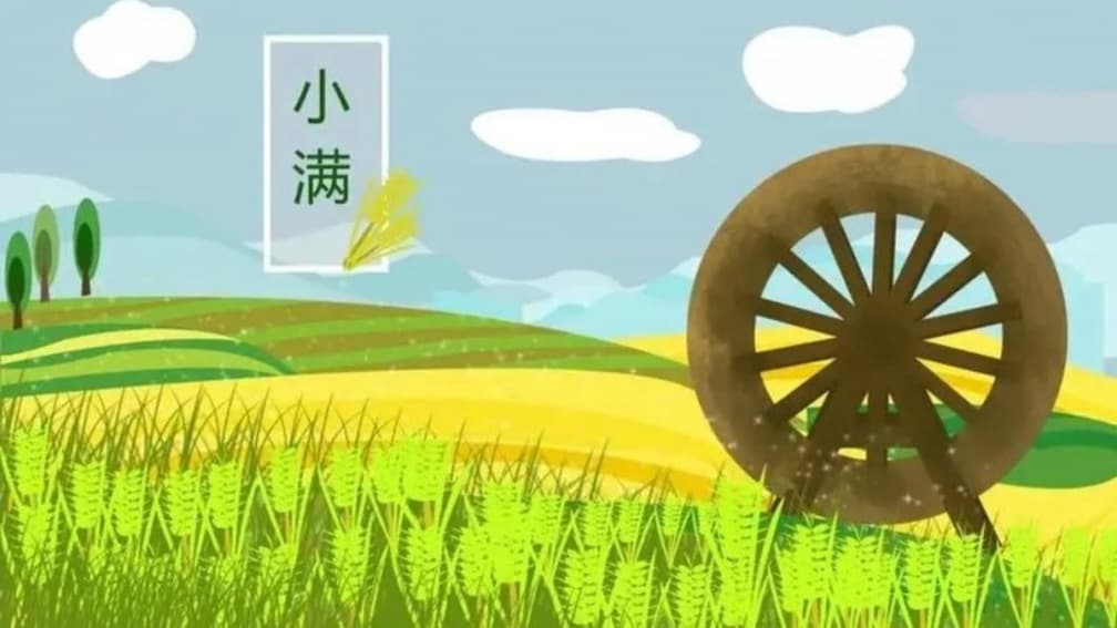 5/21「小滿」1禁忌觸犯恐損健康!吃1食物可開運,3生肖事業運旺到炸 5/21「小滿」1禁忌觸犯恐損健康!吃1食物可開運,3生肖事業運旺到炸