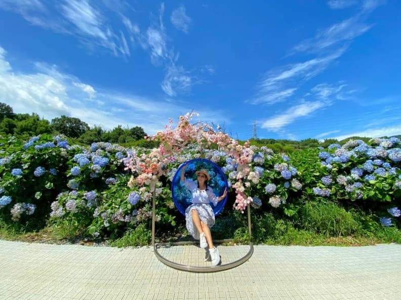 好拍到手痠!IG必追6大「繡球花夯點」:占地8000坪、萬株花海限時免費拍 好拍到手痠!IG必追6大「繡球花夯點」:占地8000坪、萬株花海限時免費拍