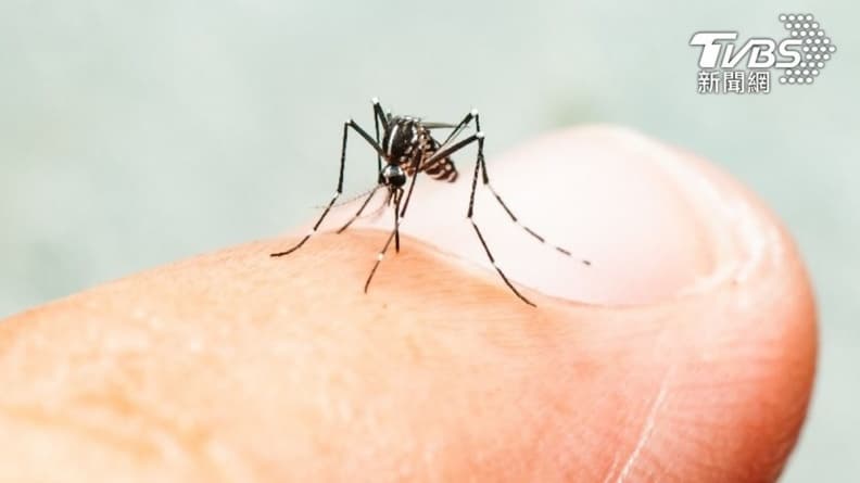 愛吃肉容易被蚊子叮?專家打臉「沒科學根據」,加碼2妙招防蚊 愛吃肉容易被蚊子叮?專家打臉「沒科學根據」,加碼2妙招防蚊