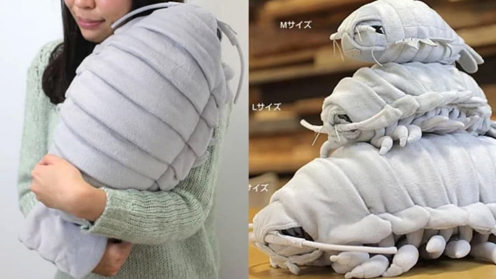 刷新三觀!「大王具足蟲」變身超逼真巨型玩偶、扭蛋,網友笑:適合送討厭的人