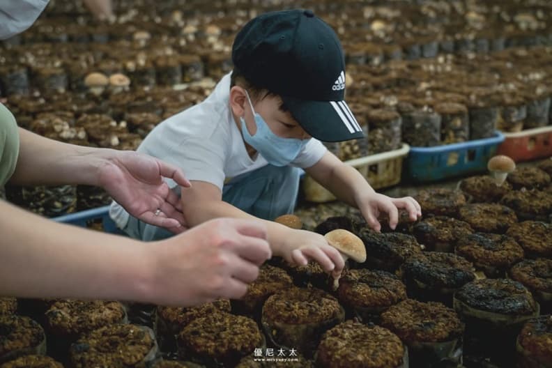 隱藏版親子樂園!台中「菇菇農場」體驗採香菇、現做茶碗蒸,250元1票玩到飽 隱藏版親子樂園!台中「菇菇農場」體驗採香菇、現做茶碗蒸,250元1票玩到飽