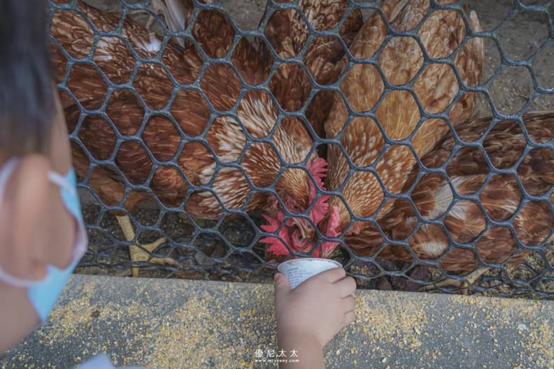 隱藏版親子樂園!台中「菇菇農場」體驗採香菇、現做茶碗蒸,250元1票玩到飽 隱藏版親子樂園!台中「菇菇農場」體驗採香菇、現做茶碗蒸,250元1票玩到飽
