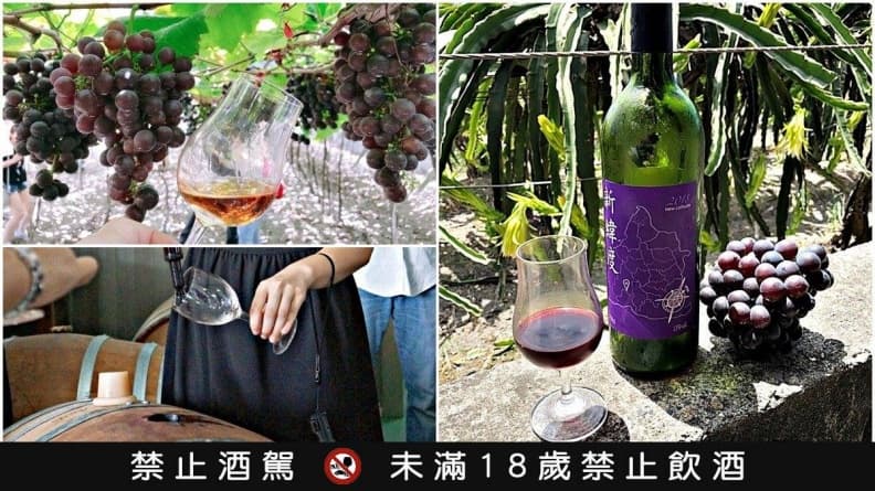 【食尚玩酒莊】釀出世界第一黑后葡萄酒!彰化得獎葡萄酒莊還有荔枝白蘭地