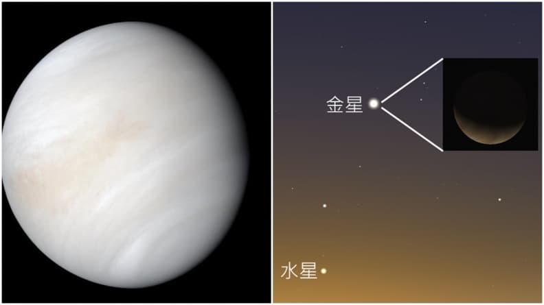 今年最後一次!這天「金星」達最大亮度肉眼可見,「海王星」離地球最近
