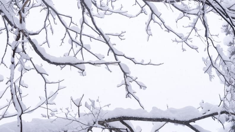 12/7「大雪」禁忌、習俗一次看!「棉被蓋頭」恐損運勢,3生肖財運旺炸