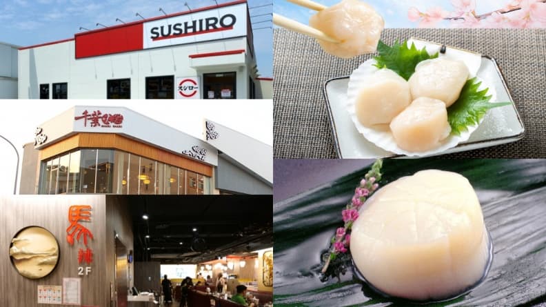 日本帆立貝免費吃!壽司郎、千葉、馬辣、CoCo壹番屋,用餐即贈鮮甜帆立貝