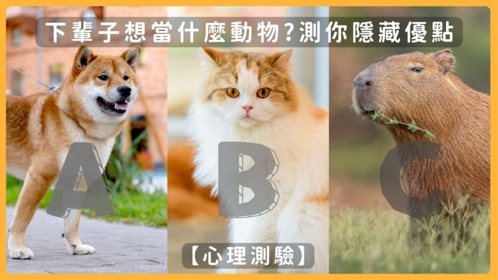 下輩子想當哪種動物?1張圖測出你的隱藏優點,選「牠」最受同事歡迎