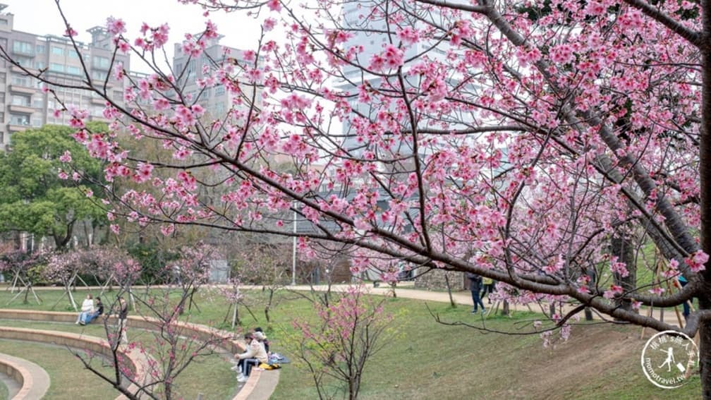 打敗內灣、六福村!「新竹最夯景點」半年吸228萬人,看動物、賞花還能走廟 打敗內灣、六福村!「新竹最夯景點」半年吸228萬人,看動物、賞花還能走廟