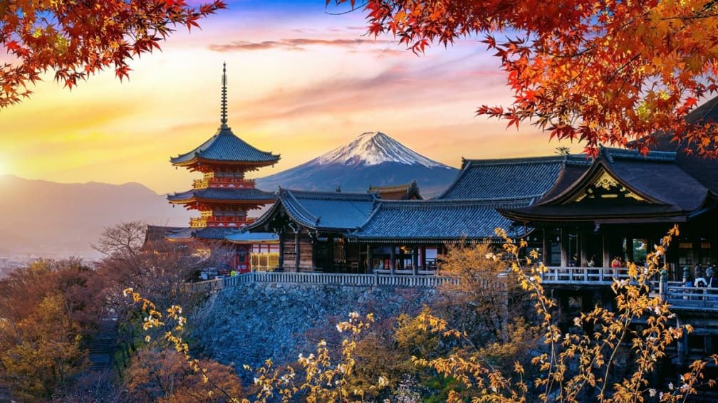 京都輸了!「日本哪裡去不膩」票選出爐,網友讚:第1名每年都有新景點