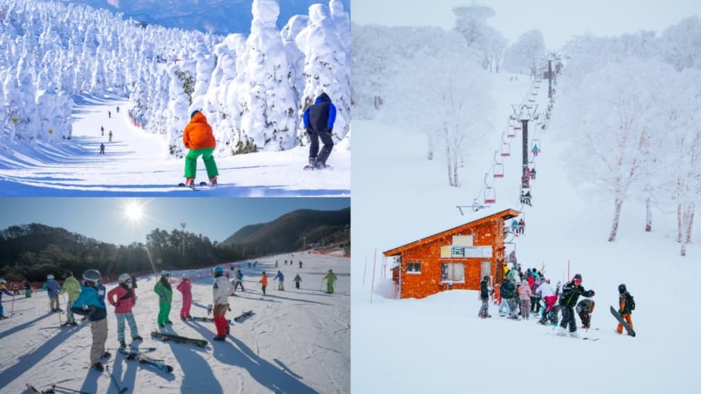日本輕井澤排第2!網友激推日韓滑雪勝地Top10,「這地點」一年四季都適合玩