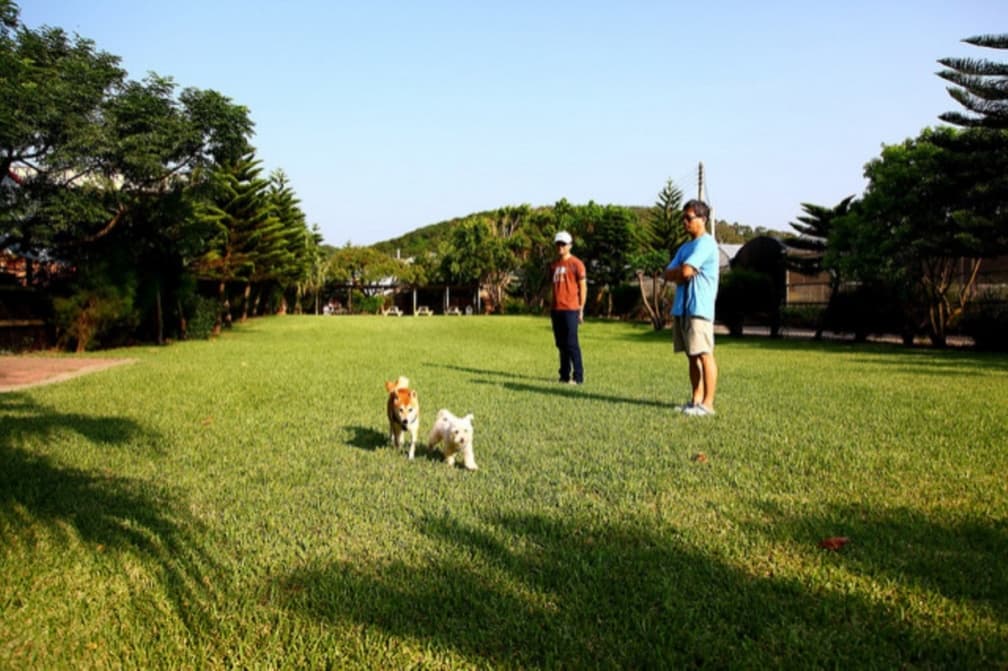 苗栗通霄景點推薦Top15:不只白沙屯媽祖!還有最美夕陽秘境、龍貓公車站 苗栗通霄景點:幸福農場