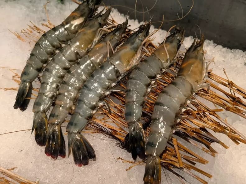 「豪饌頂級麻辣火鍋」兒童免費吃到飽