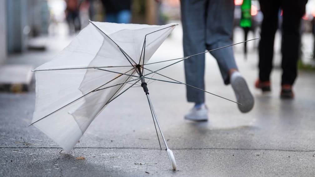 雨衣可以丟垃圾車嗎?雨傘是垃圾還是回收?環保局給答案:丟錯開罰6000元