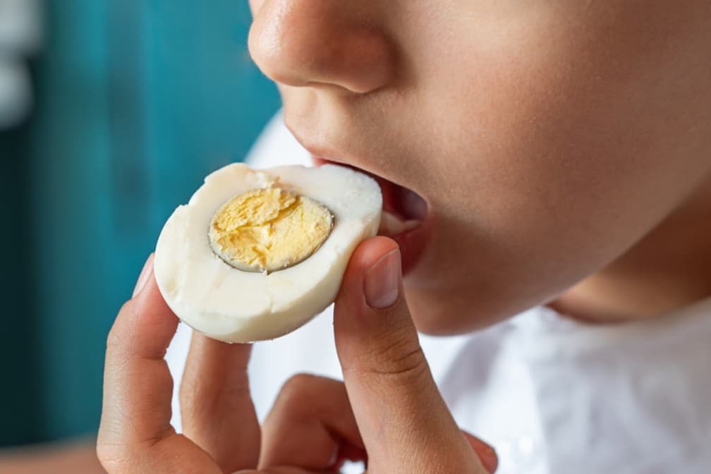一天可以吃幾顆蛋?半熟蛋會有細菌嗎?專家給答案、破解雞蛋膽固醇迷思 一天可以吃幾顆蛋?半熟蛋會有細菌嗎?專家給答案、破解雞蛋膽固醇迷思