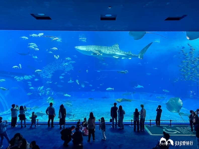 沖繩美麗海水族館 img
