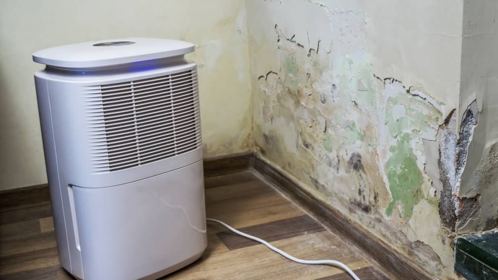 一直開除濕機會很耗電嗎?台電授4招省電秘訣:讓你年省8%用電