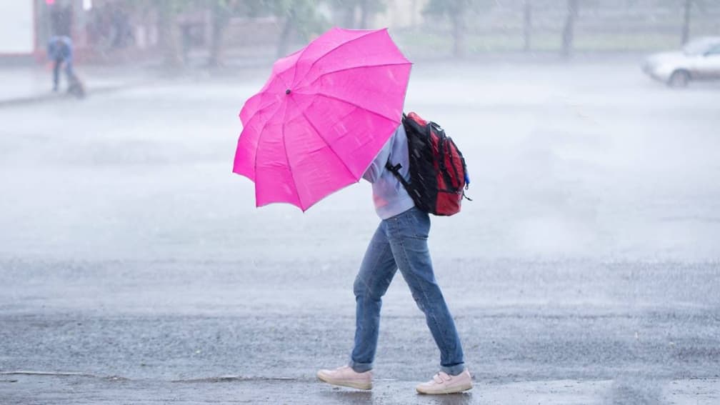 輕颱范斯高生成了!最新颱風動態路徑曝光,「這2天」慎防大雨來襲