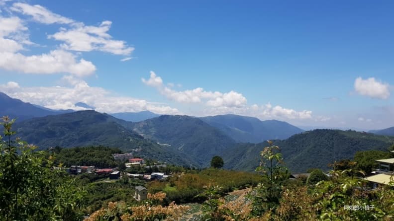 南投美食地圖!草屯、埔里、清境日月潭攻略,必吃意麵肉圓、紅玉紅茶、甕缸雞 南投美食地圖!草屯、埔里、清境日月潭攻略,必吃意麵肉圓、紅玉紅茶、甕缸雞