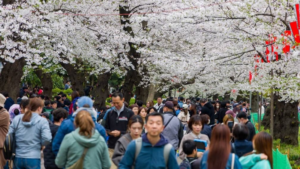 東京景點哪個最失望?台人票選冠軍竟是「它」,網友:都被中國人占據了