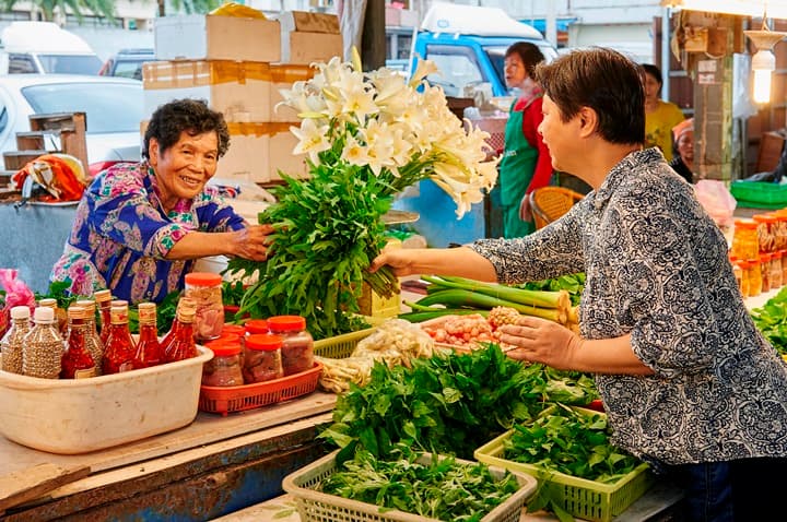 巷仔內才知道 花蓮人的野菜秘密基地