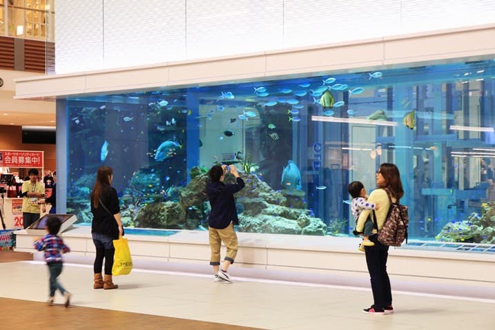 沖繩商場逛200家店鋪 夜晚入住無敵海景房 03永旺夢樂城AEON MALL.JPG