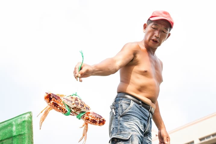 萬里蟹在狂什麼?一篇文神破解