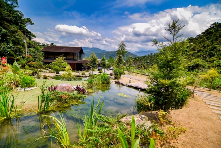 住進這4間森林庭園民宿 涼快消暑爽歪歪