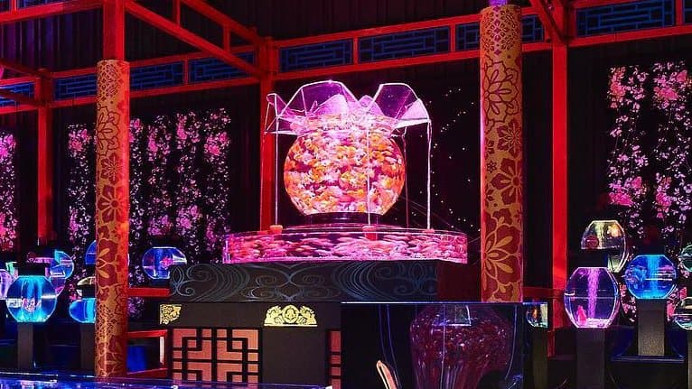 圓滾滾金魚百變上色!迷幻水族藝術展超好拍