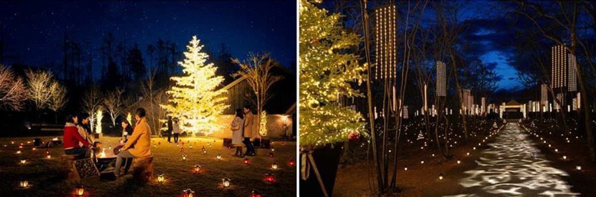美歪!森林裡這座小屋閃閃發光 美歪!森林裡這座小屋閃閃發光