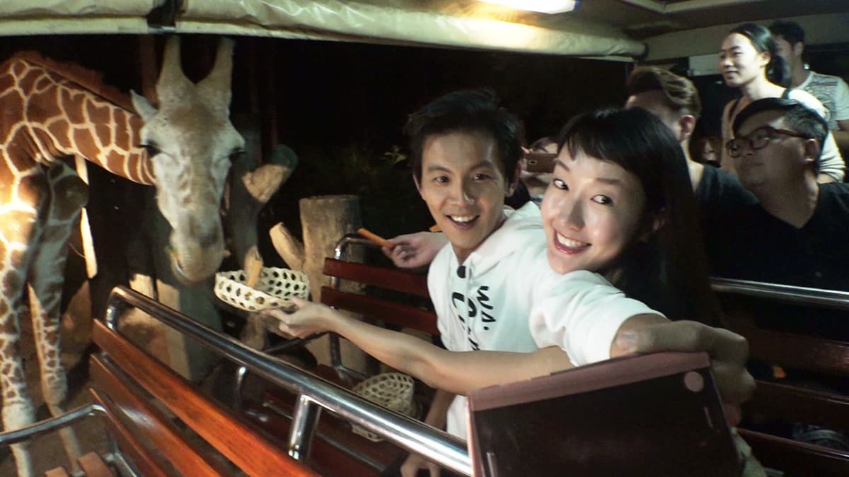 清邁夜間動物園Chiang Mai Night Safari Zoo